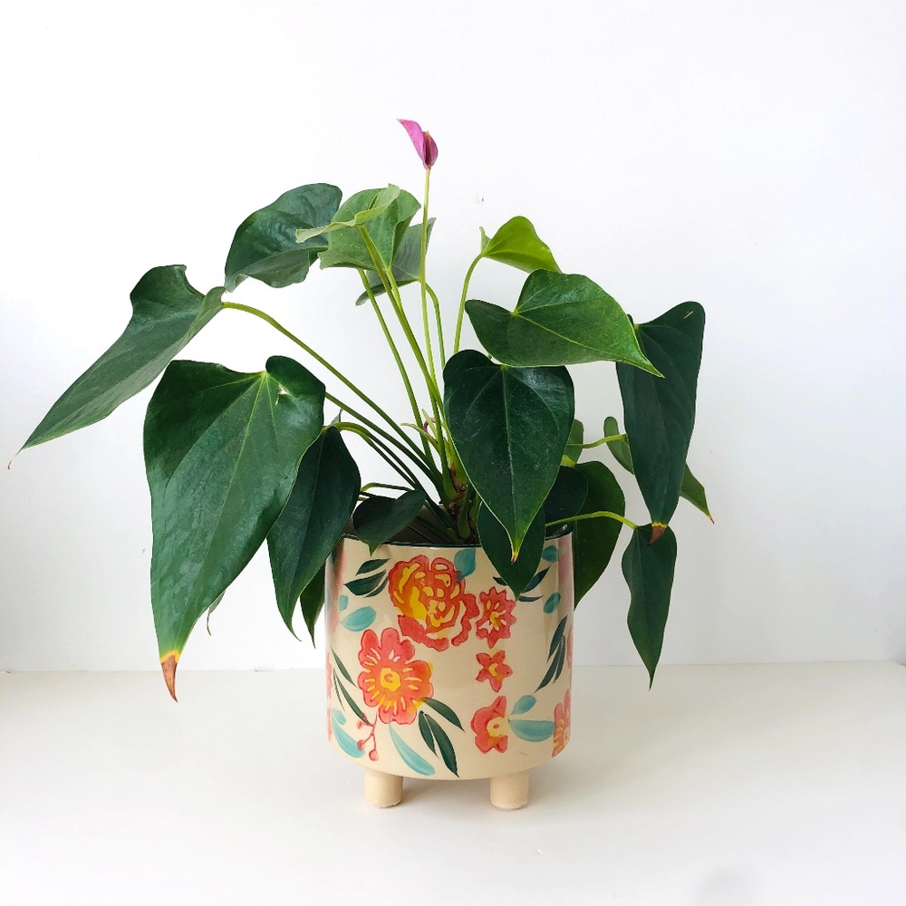 Floral Plant Pot